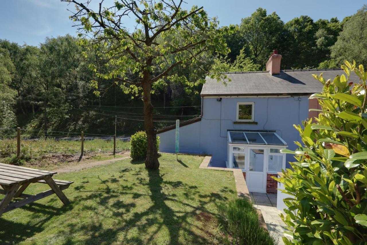 Lilac Cottage Parkend ภายนอก รูปภาพ
