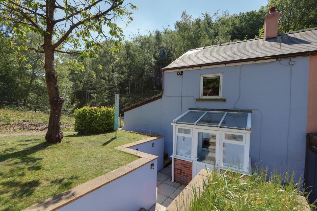 Lilac Cottage Parkend ภายนอก รูปภาพ